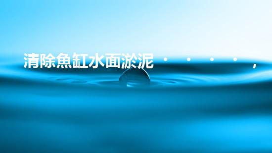 清除魚缸水面淤泥，讓你的寵物魚兒呼吸更暢快！